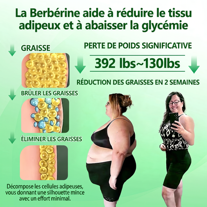 FR  Recommandé par des médecins 🌟 | Kevrai® Patch de micro-aiguilles nano à la berbérine 10-en-1 | ✅ Formule fondée sur la science | Complexe avancé 10-en-1 | Résultats visibles en 7 jours 🏅